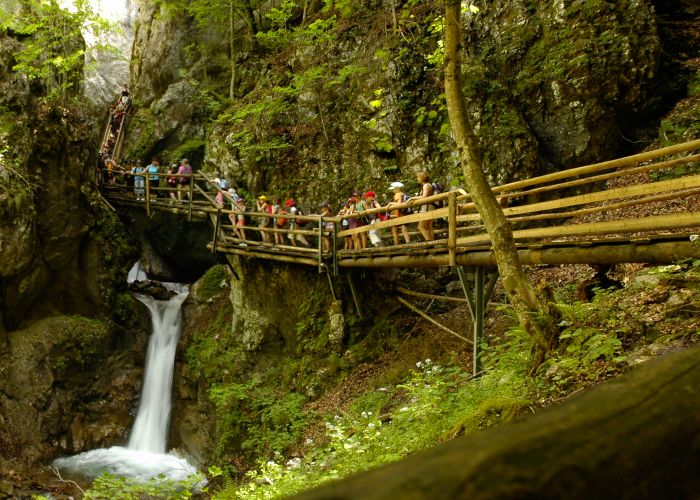 Dr. Vogelgesang Klamm Dr. Vogelgesang Klamm