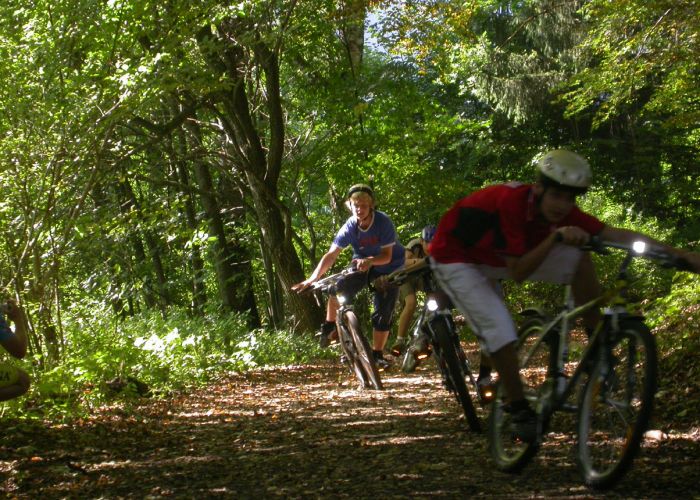 MTB Techniktraining (Rooky) MTB Techniktraining (Rooky)
