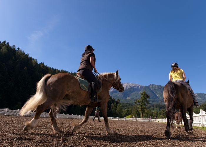 Reiten am Ferienhof Reiten am Ferienhof