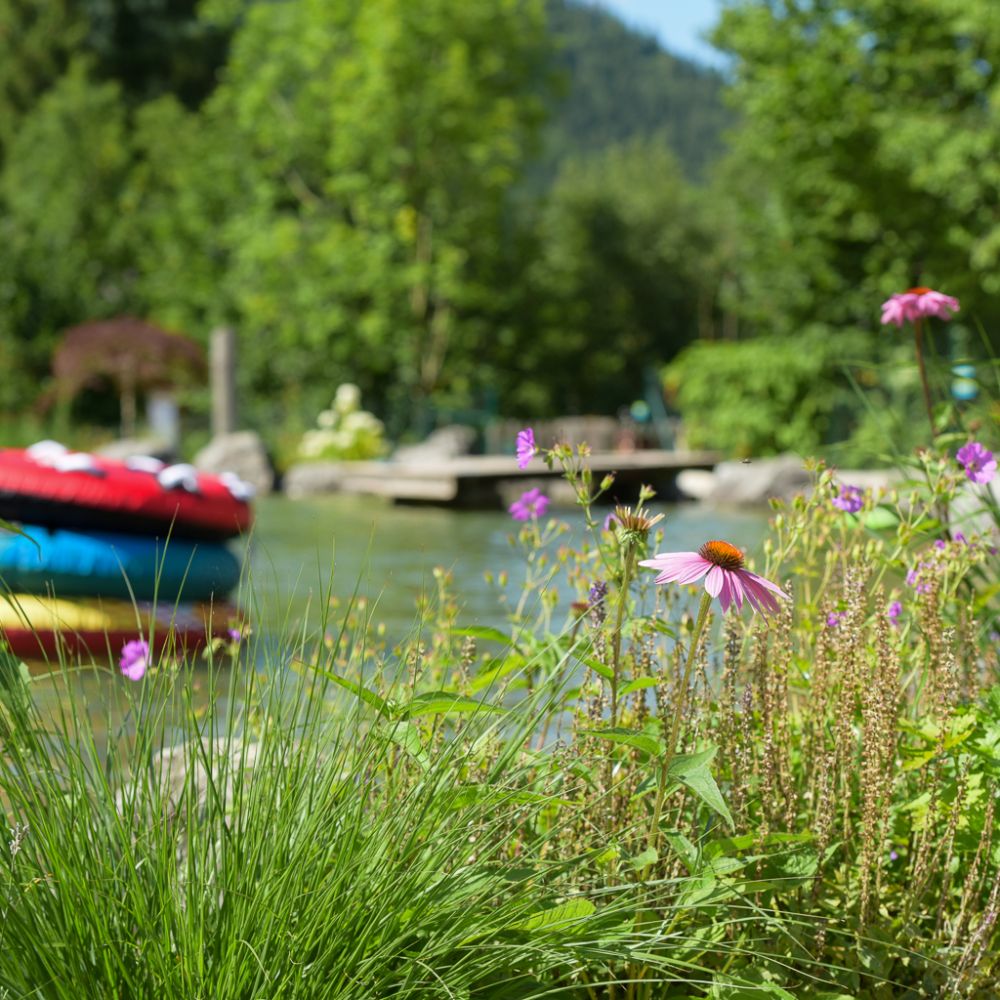 Neu gestalteter Garten