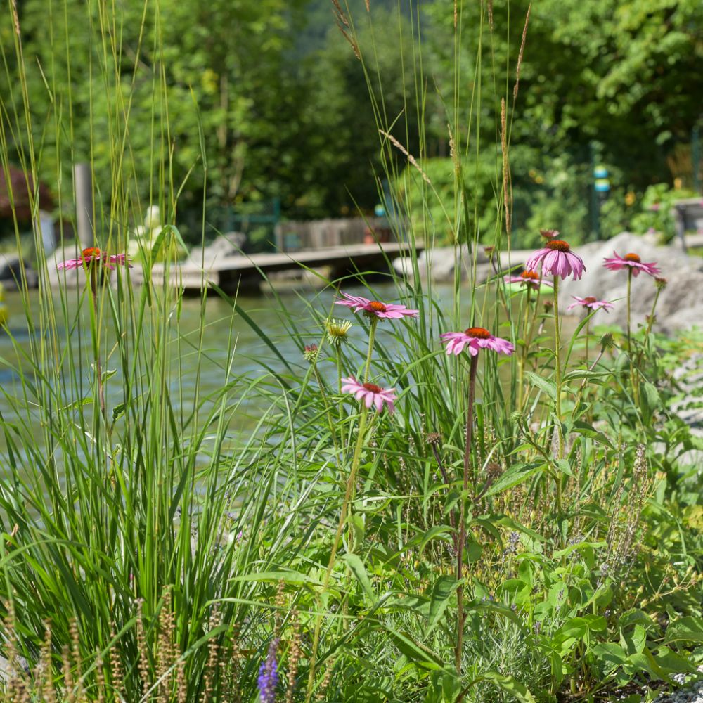 Neu gestalteter Garten