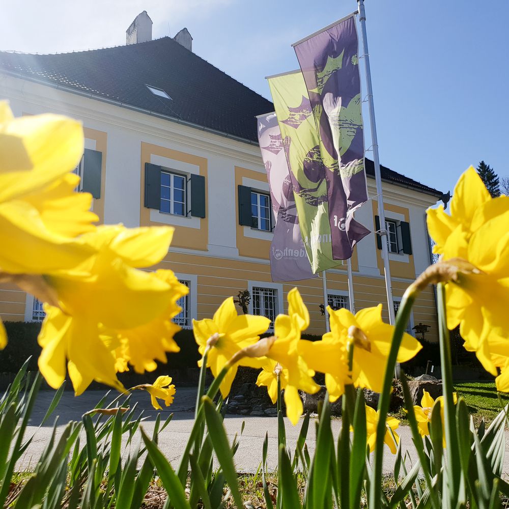 Frühling im Lindenhof