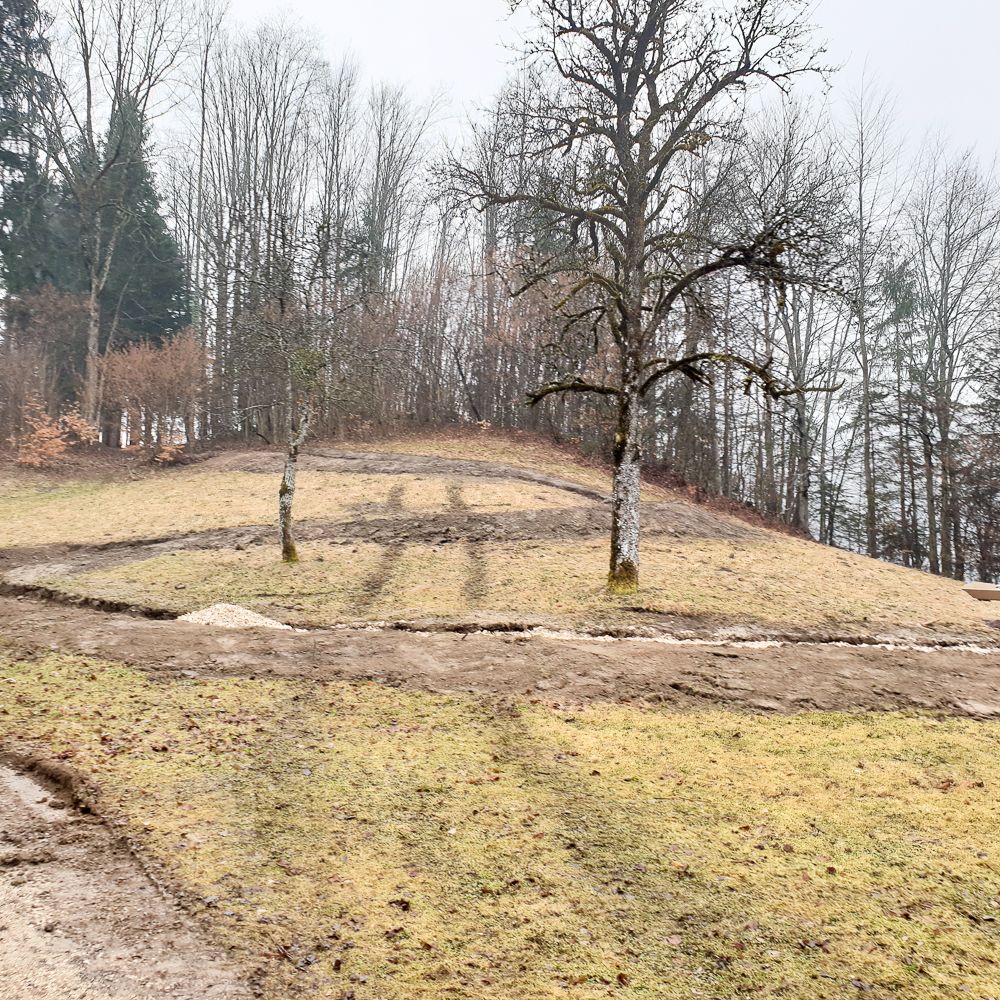 Lindenhof - Singletrail