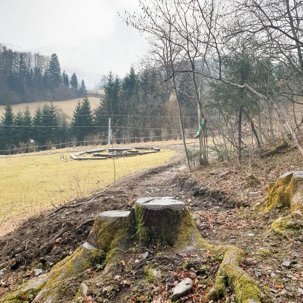 Lindenhof - Singletrail